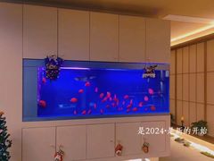 -宫七SPA·高端Massage(浦东大道店)