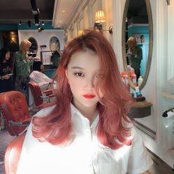 点击看大图 -金棕榈