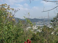 -灵岩山风景区