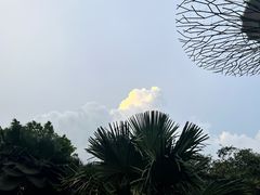 -Pazzion(Wisma Atria)