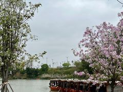 -江门古劳水乡旅游区