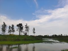 -春花秋色城市公园