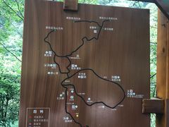 -黎坪国家森林公园