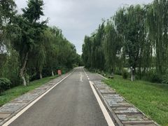 -白鹭湾湿地公园