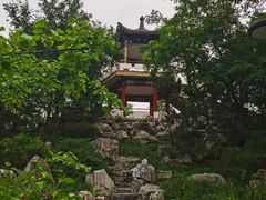 -莲花池公园