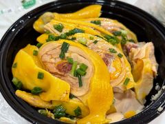 -新雅粤菜馆(南京东路店)