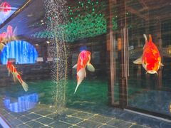 -大逸传奇·足道SPA(天美店)
