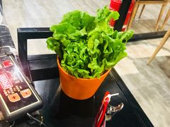 -古乐牛香·鲜牛肉牛杂火锅(五一中路店)