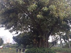 -人民公园(罗湖区)