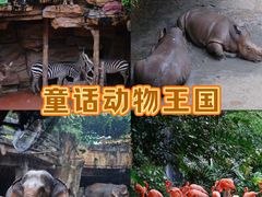 -长鹿旅游休博园