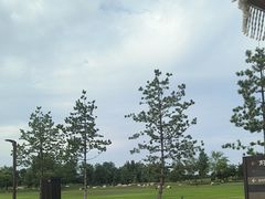 -汉长安城未央宫国家考古遗址公园