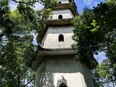 -江心屿景区