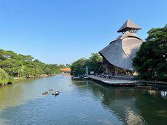 -南沙水鸟世界生态园