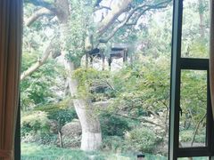 -浙江西子宾馆·瑶园咖啡厅