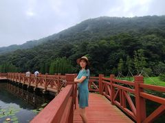 -广州市石门国家森林公园