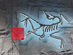 -ARC'TERYX始祖鸟(北京王府中环店)