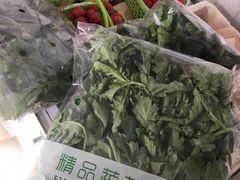 -大自然农场蔬菜草莓采摘园