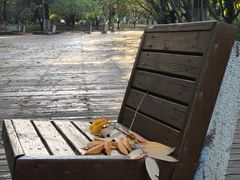 -长白岛森林公园