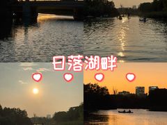 -新江湾城公园