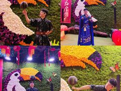 -正佳雨林生态植物园