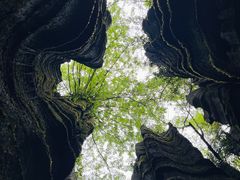 -梭布垭石林景区