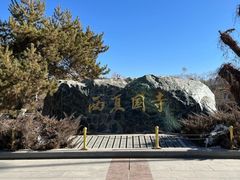 -张掖大佛寺景区