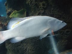 -石家庄海洋公园