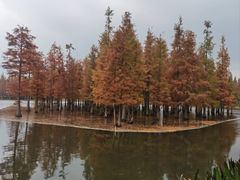 -白鹭湾湿地公园