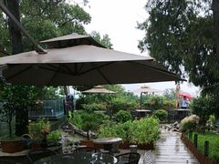 -蘇河湾·新鲁菜·泰山宴(泰山店)