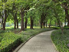 -北外滩滨江绿地