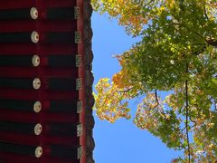 -香山公园