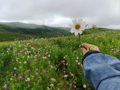 -草原天路(张北县)