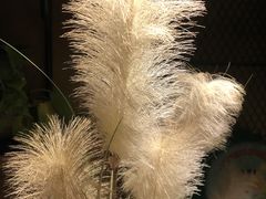 -胡桃里音乐酒馆(四道口店)