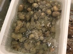 -白金汉爵大酒店(相城店)