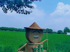 -嘉北郊野公园