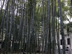 -绳金塔