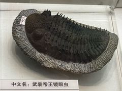 -天津自然博物馆