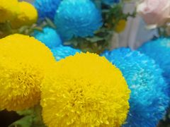-何兮花店·气球派对鲜花店(马桥银春路万科城店)