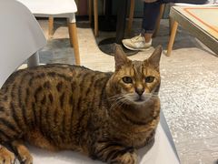 -小时光咖啡馆(北锣鼓巷店)