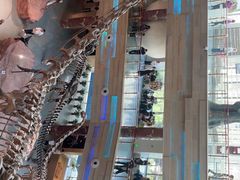 -安徽省地质博物馆