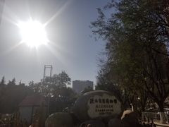 -陕西自然博物馆