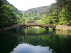-木兰云雾山