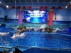 -多彩贵州城极地海洋世界