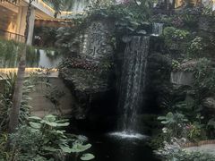 -白天鹅宾馆·流浮阁咖啡厅