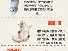 -纳吉亚猫专科动物医院·北北分院