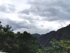 -沣峪鱼庄