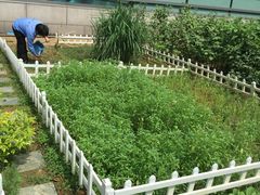 -上海佘山世茂艾美酒店