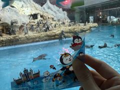 -帝企鹅自助餐厅•儿童岛•真企鹅(长隆企鹅酒店)