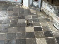 -终南山南五台景区