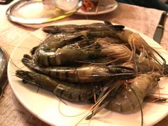 海鲜-雅枫国际酒店—枫叶自助餐(福田店)